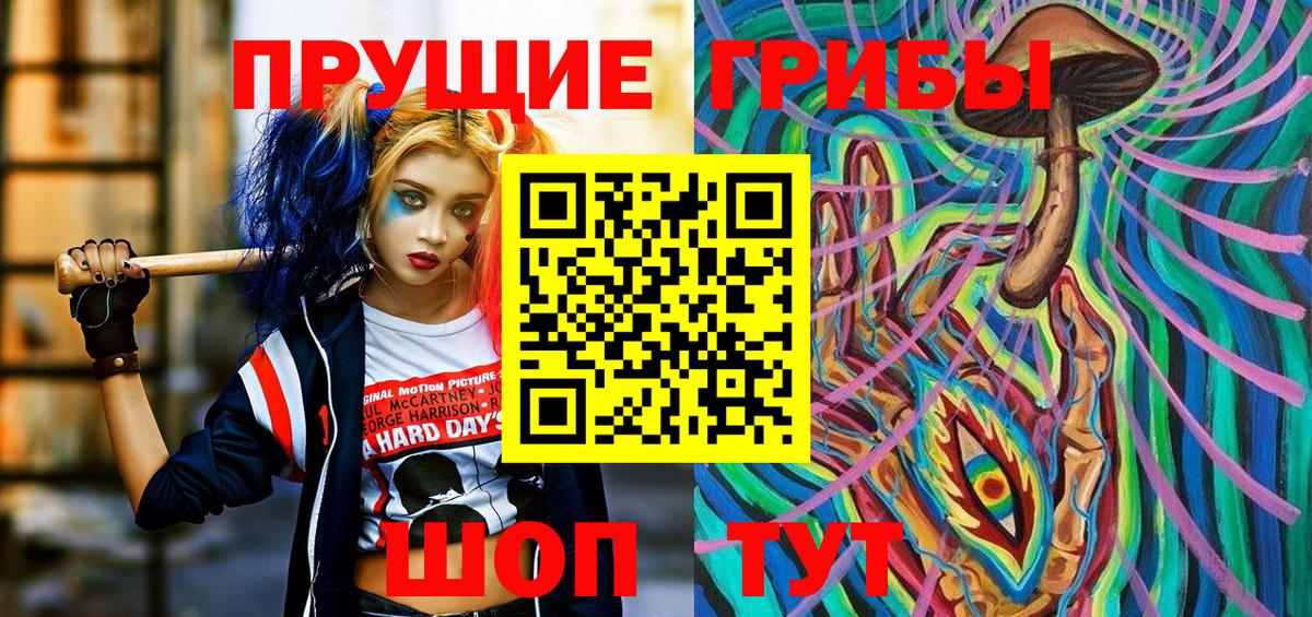 Ленинск-Кузнецкий  Псилоцибиновые грибы MAGIC MUSHROOMS  Вход с VPN 
