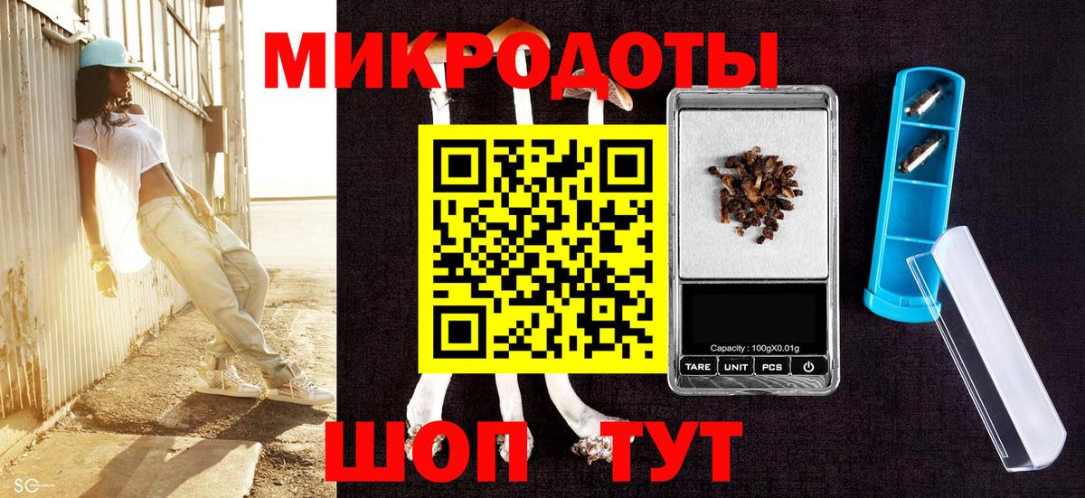 Псилоцибиновые грибы Psilocybine cubensis Ленинск-Кузнецкий